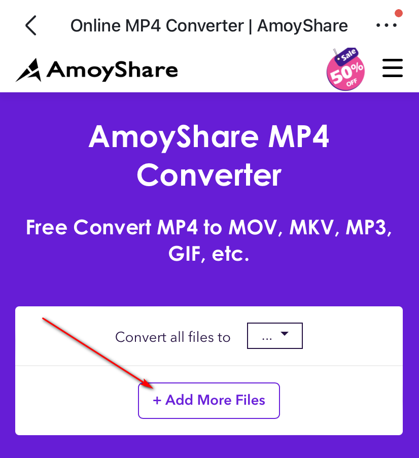 أضف ملفات إلى AmoyShare Online Converter