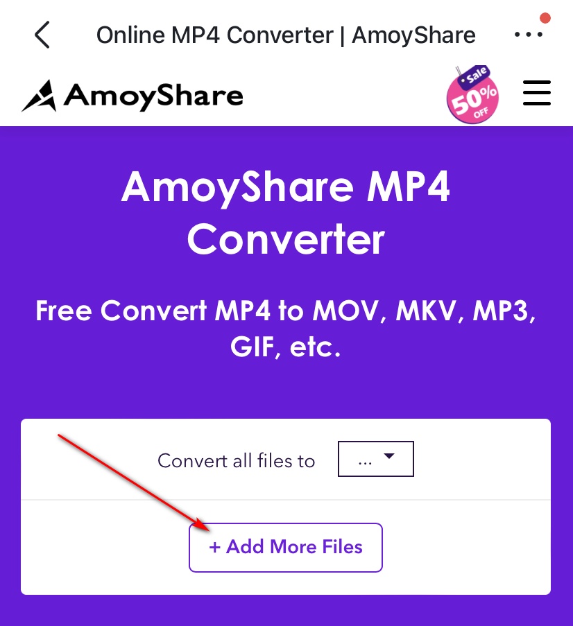 Adicionar arquivos ao conversor online AmoyShare