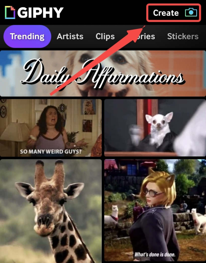 4 Elite Tools to Convert Video to GIF for iPhone
