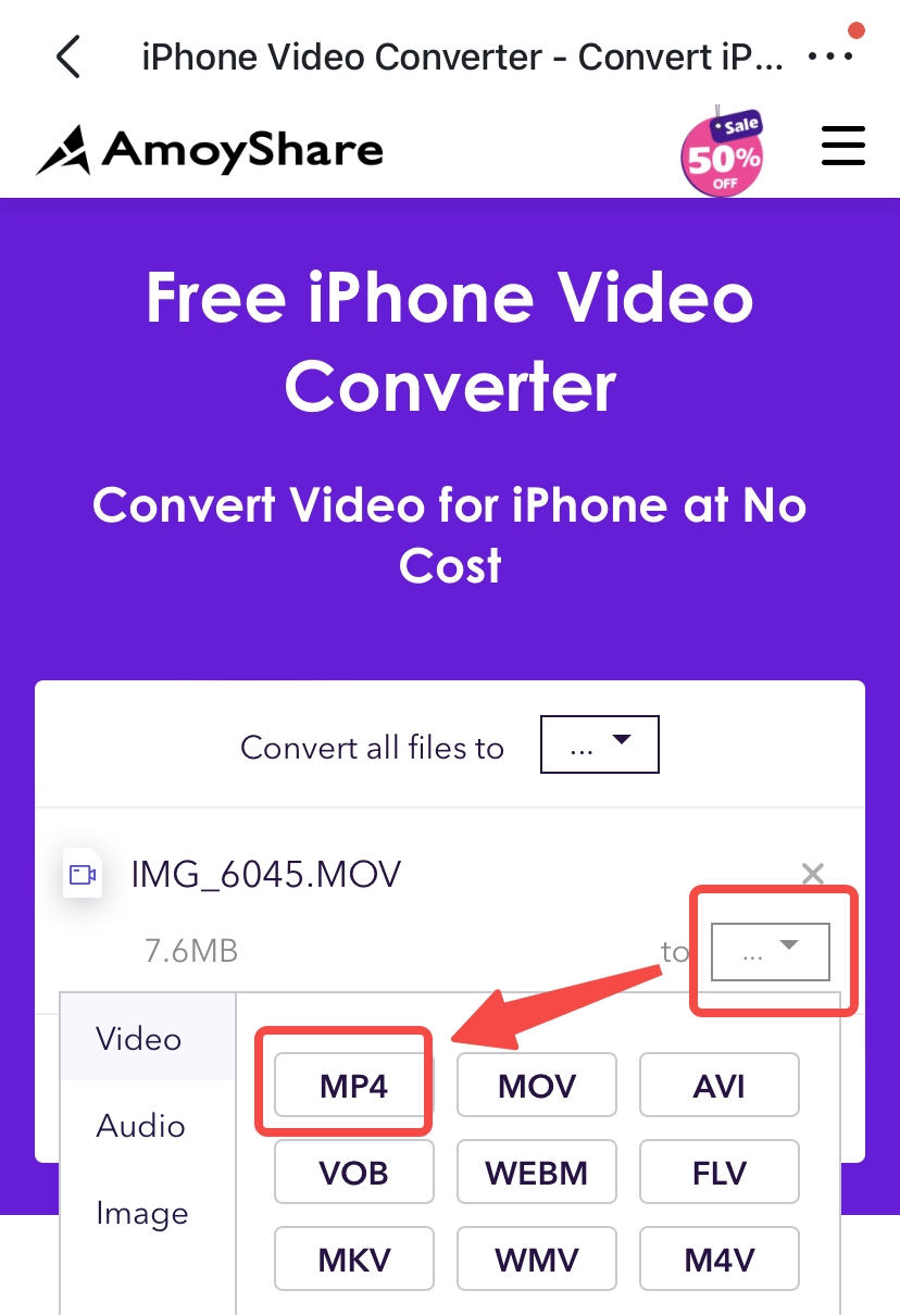 Select MP4 as output format on AmoyShare