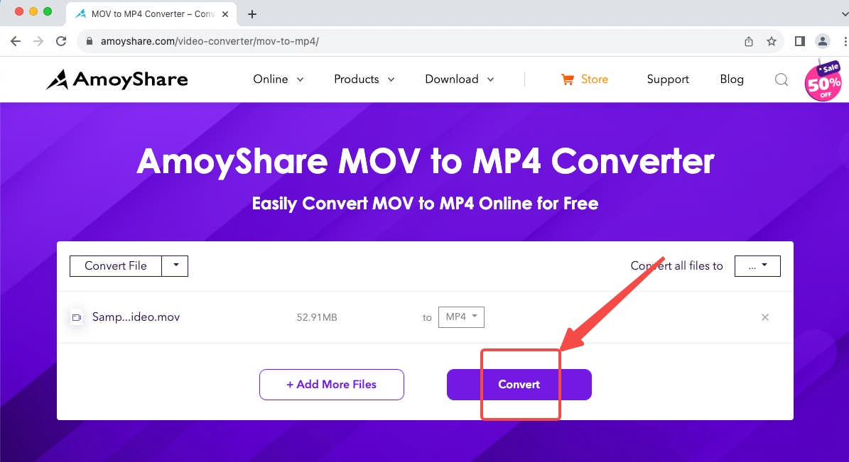 Click the Convert button on AmoyShare