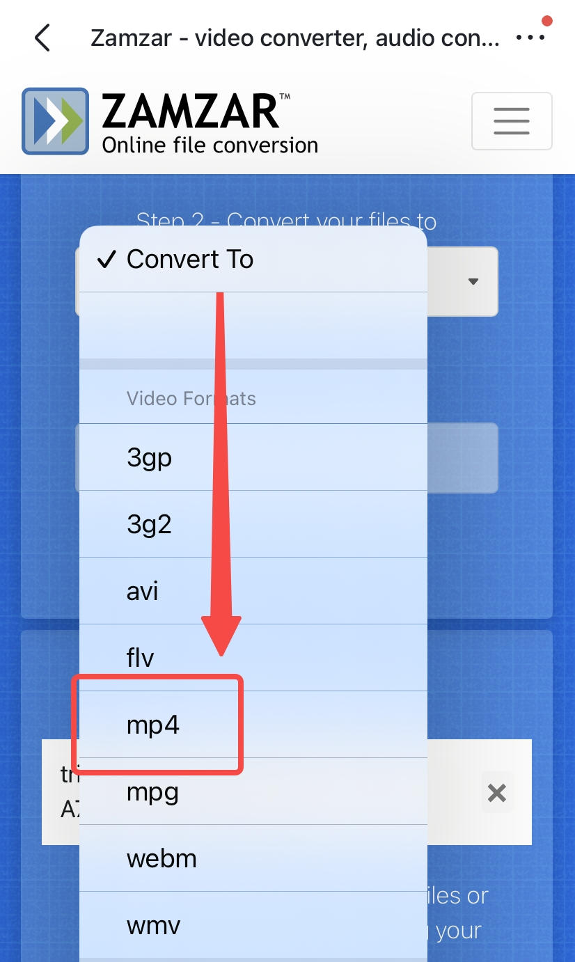 Wählen Sie MP4 auf ZAMZAR