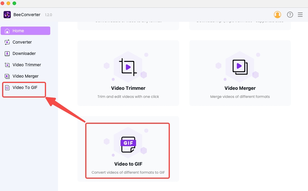 Klicken Sie im BeeConverter auf „Video zu GIF“.