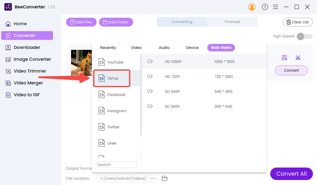 Scegli il formato di output da BeeConverter