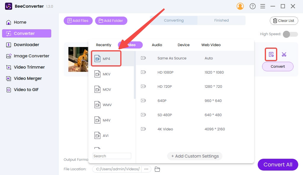 Choose the output format on BeeConverter