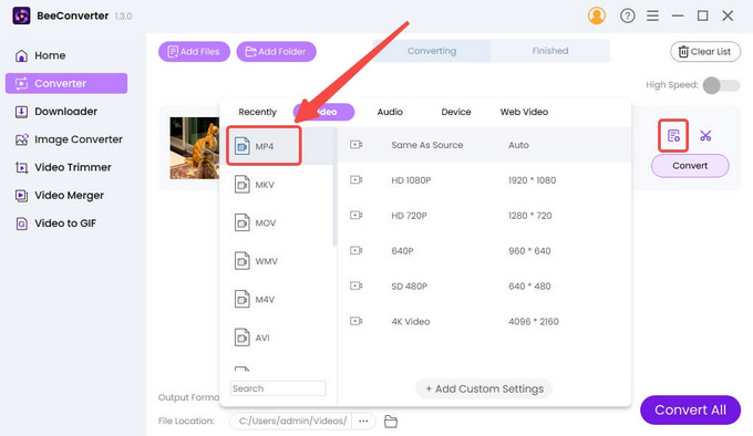 Choose the output format on BeeConverter