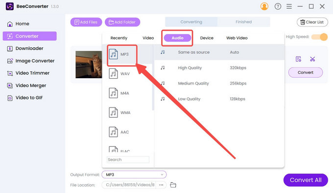 Choose the output format on BeeConverter