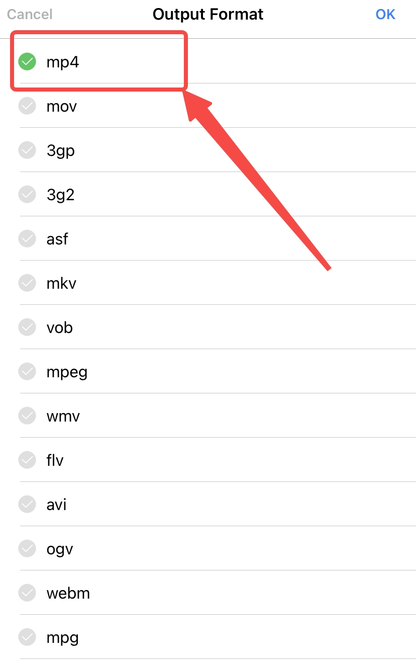 Wählen Sie ein Ausgabeformat aus dem Dropdown-Menü