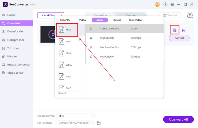 Sélectionnez le format de sortie sur BeeConverter