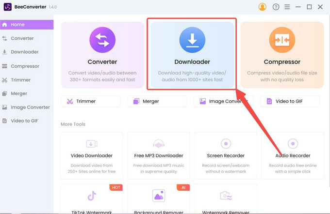 Gehen Sie zum Downloader-Tool auf BeeConverter