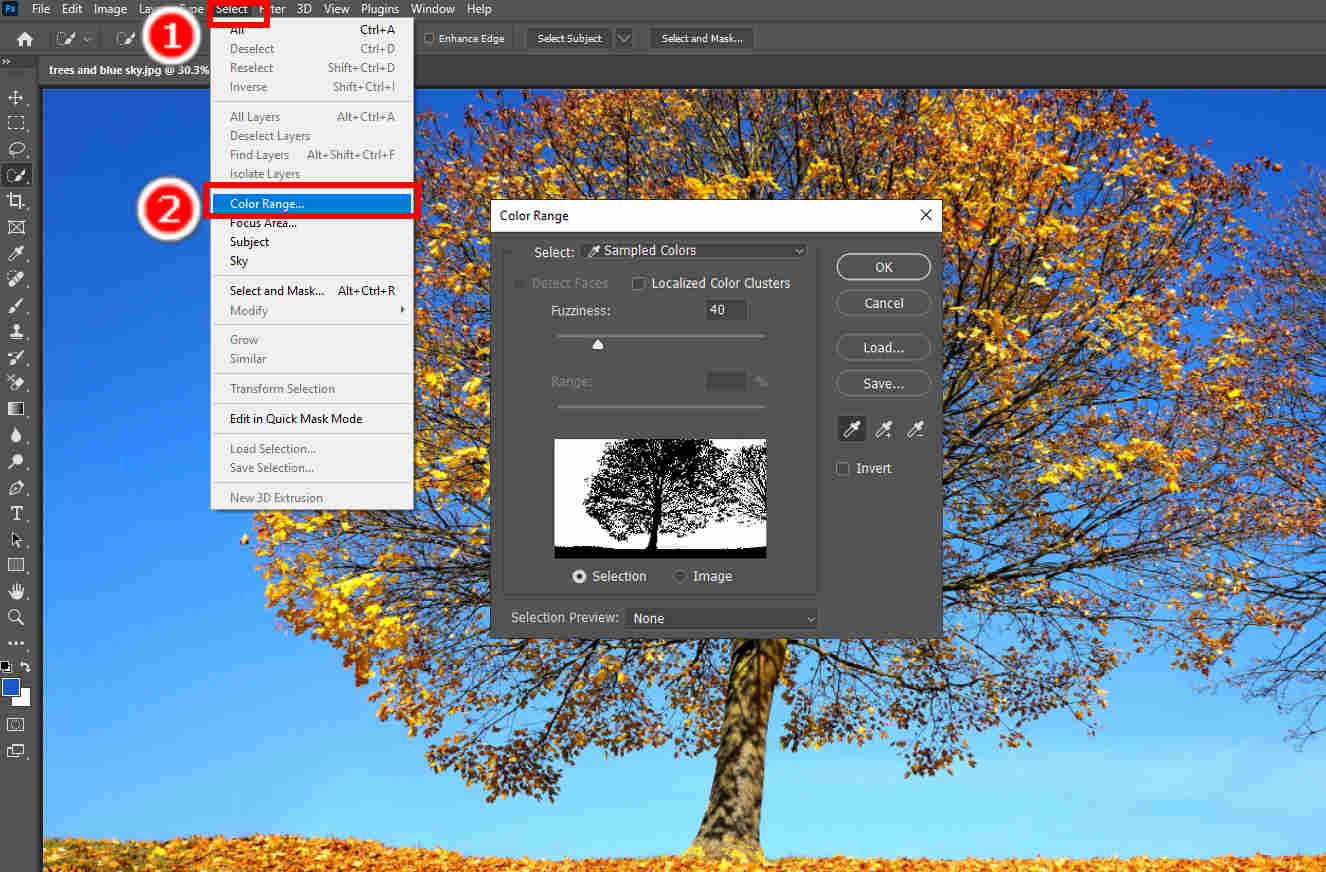 Find the Color Range tool