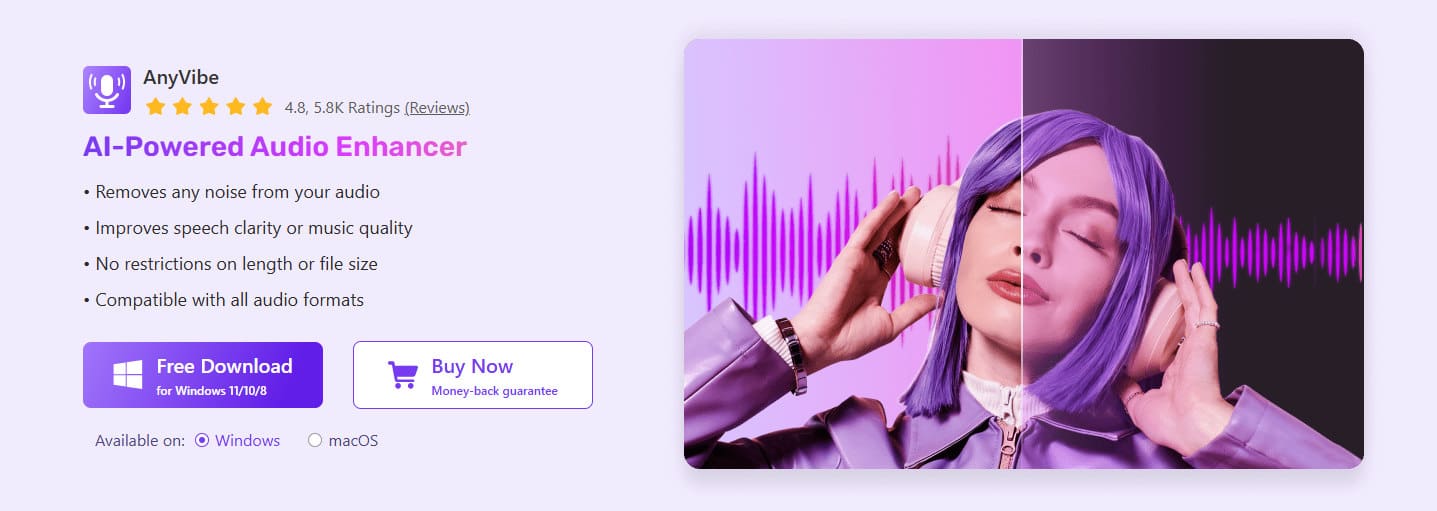 01 AnyVibe Hintergrundgeräusche entfernen